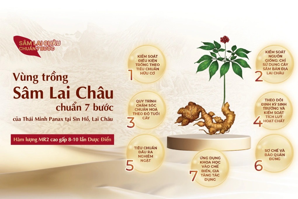 Sâm Lai Châu hữu cơ kỳ vọng chinh phục người tiêu dùng Việt - 2